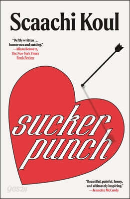 Sucker Punch: Essays