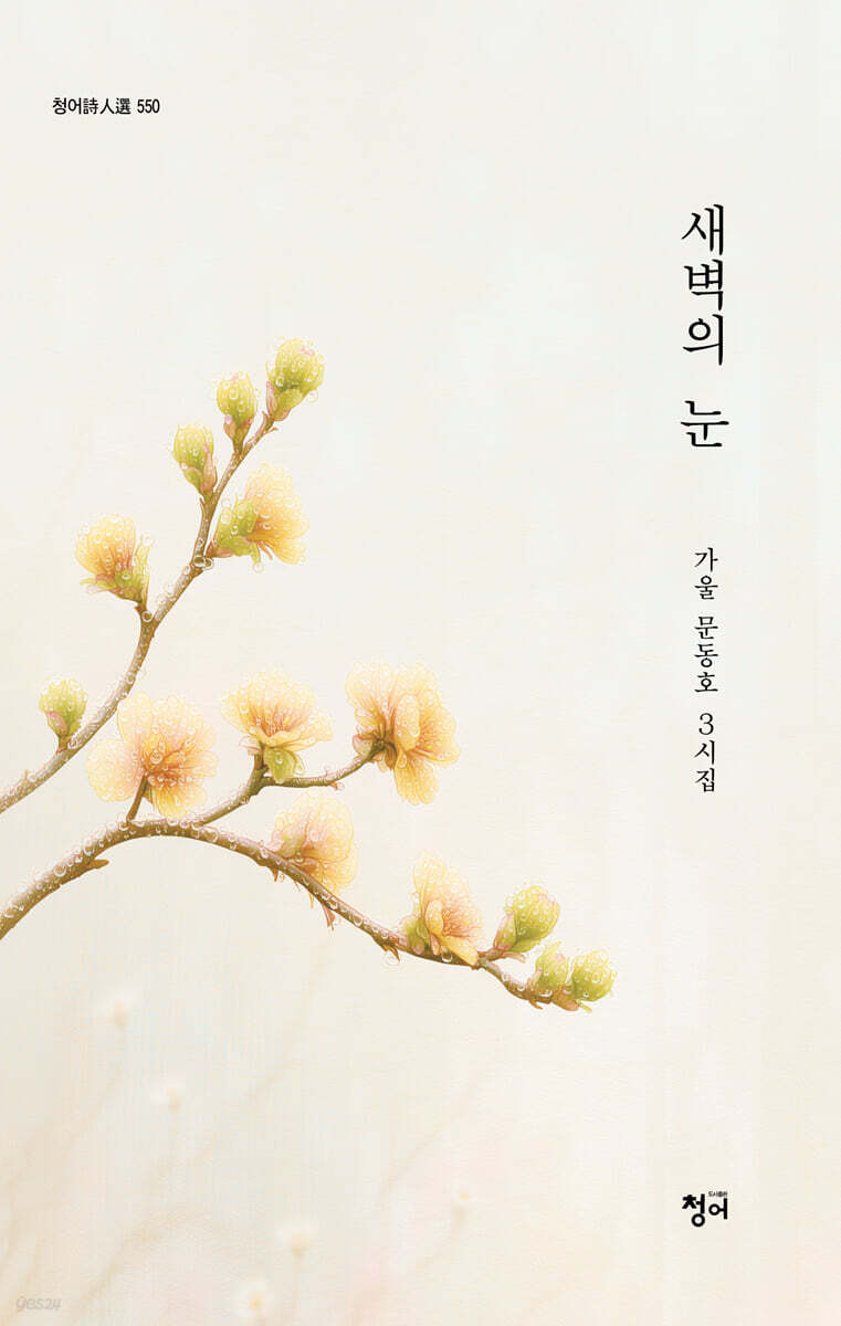 새벽의 눈