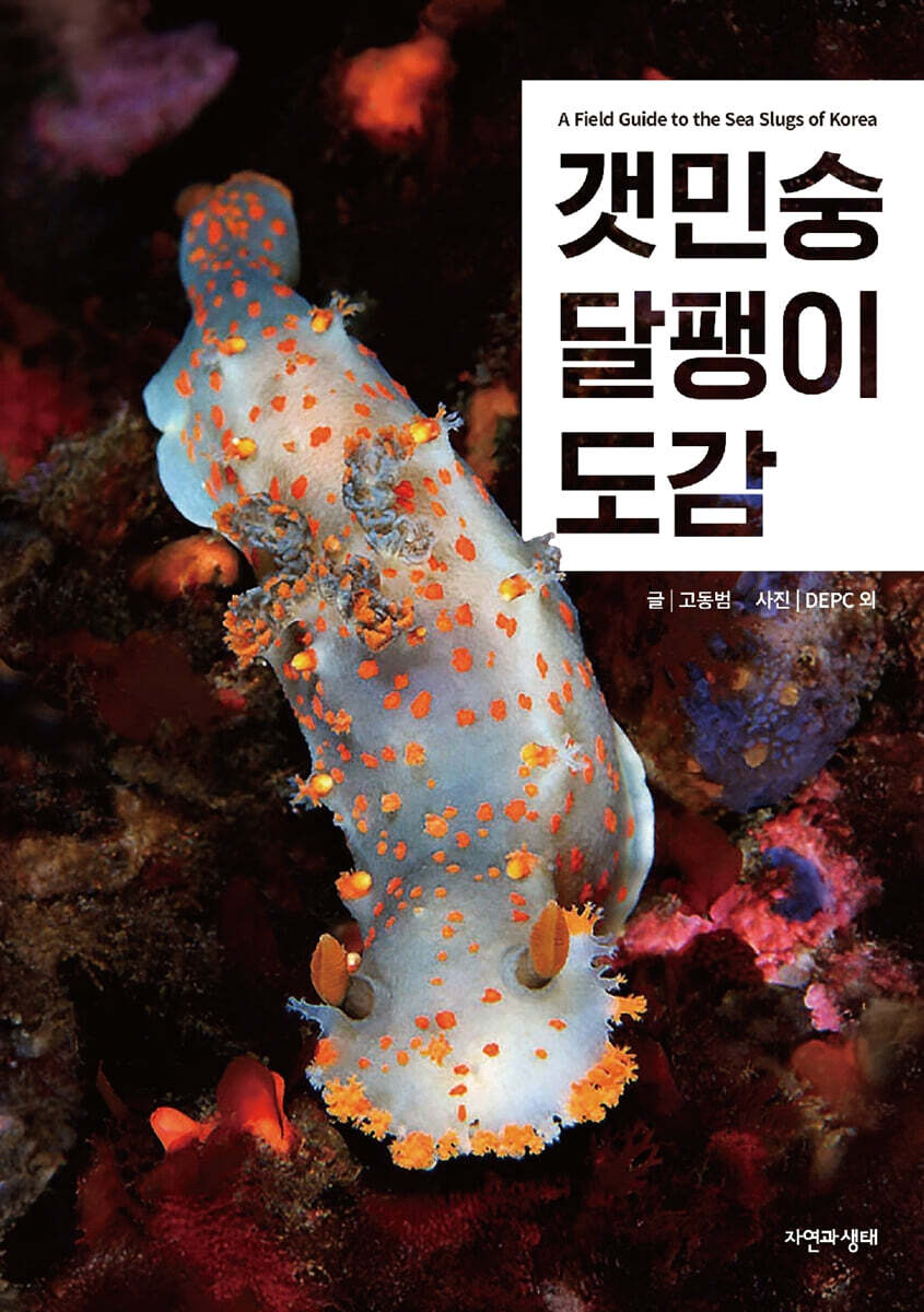 갯민숭달팽이 도감