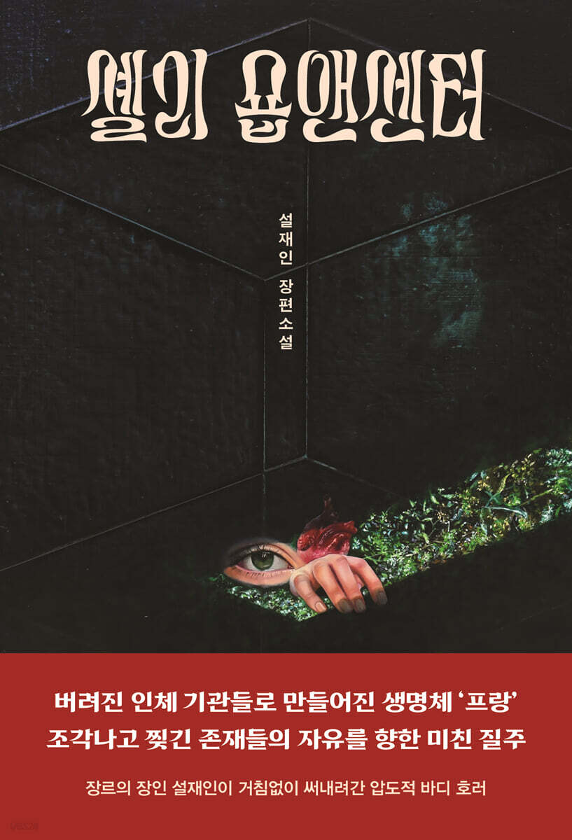셸리 숍앤센터