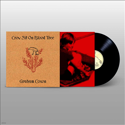 Graham Coxon — Crow Sit On Blood Tree (Reissue) 앨범 커버