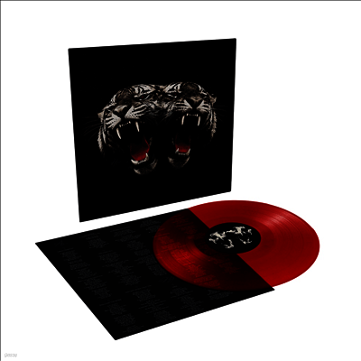 Royal Blood — Dead Company (US Indie Exclusive) 앨범 커버