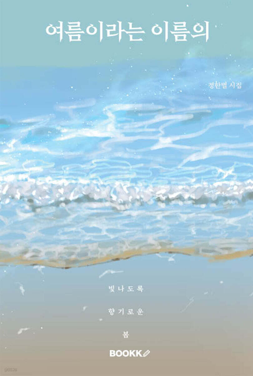 여름이라는 이름의