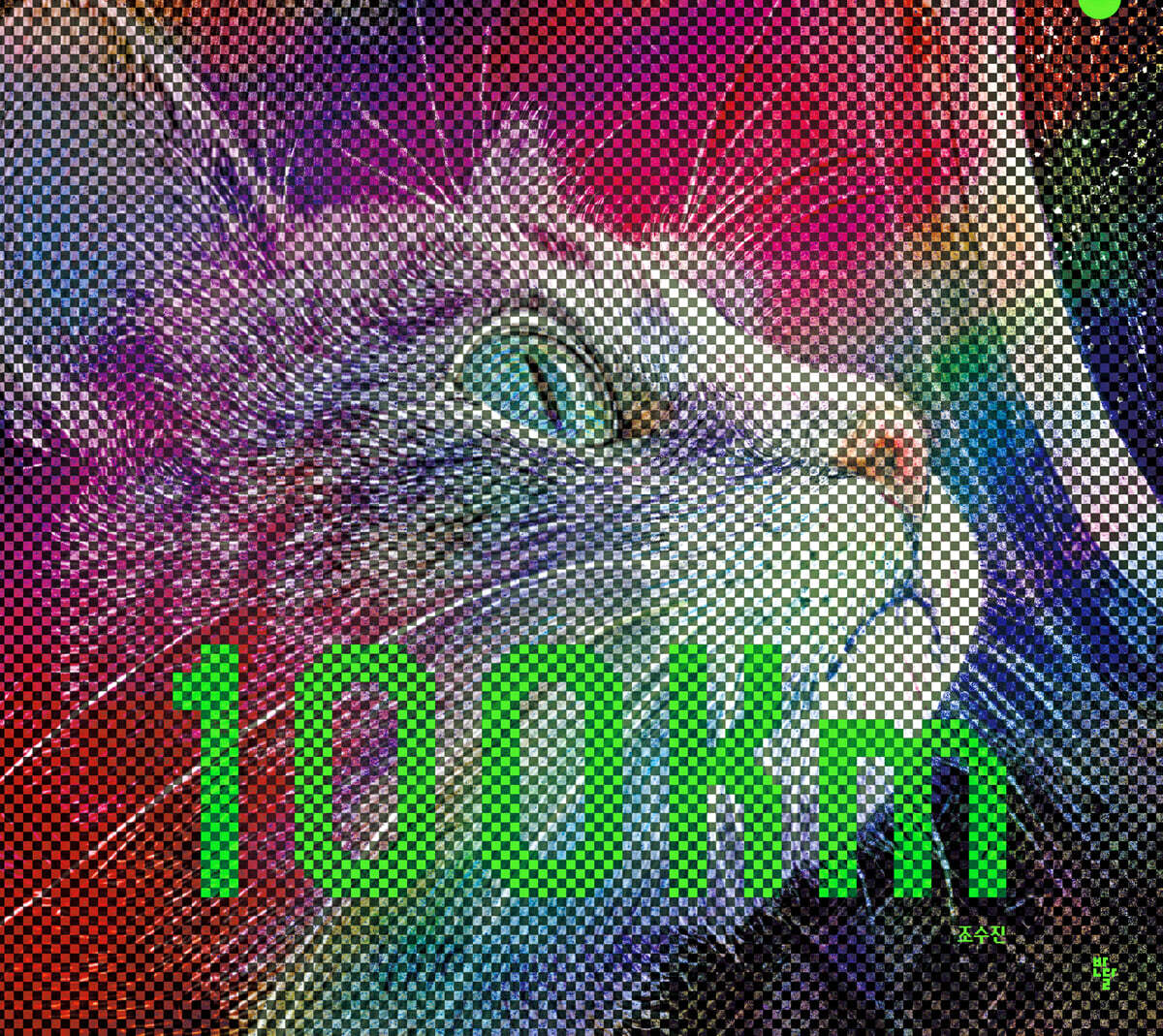 [그래제본소] 100km