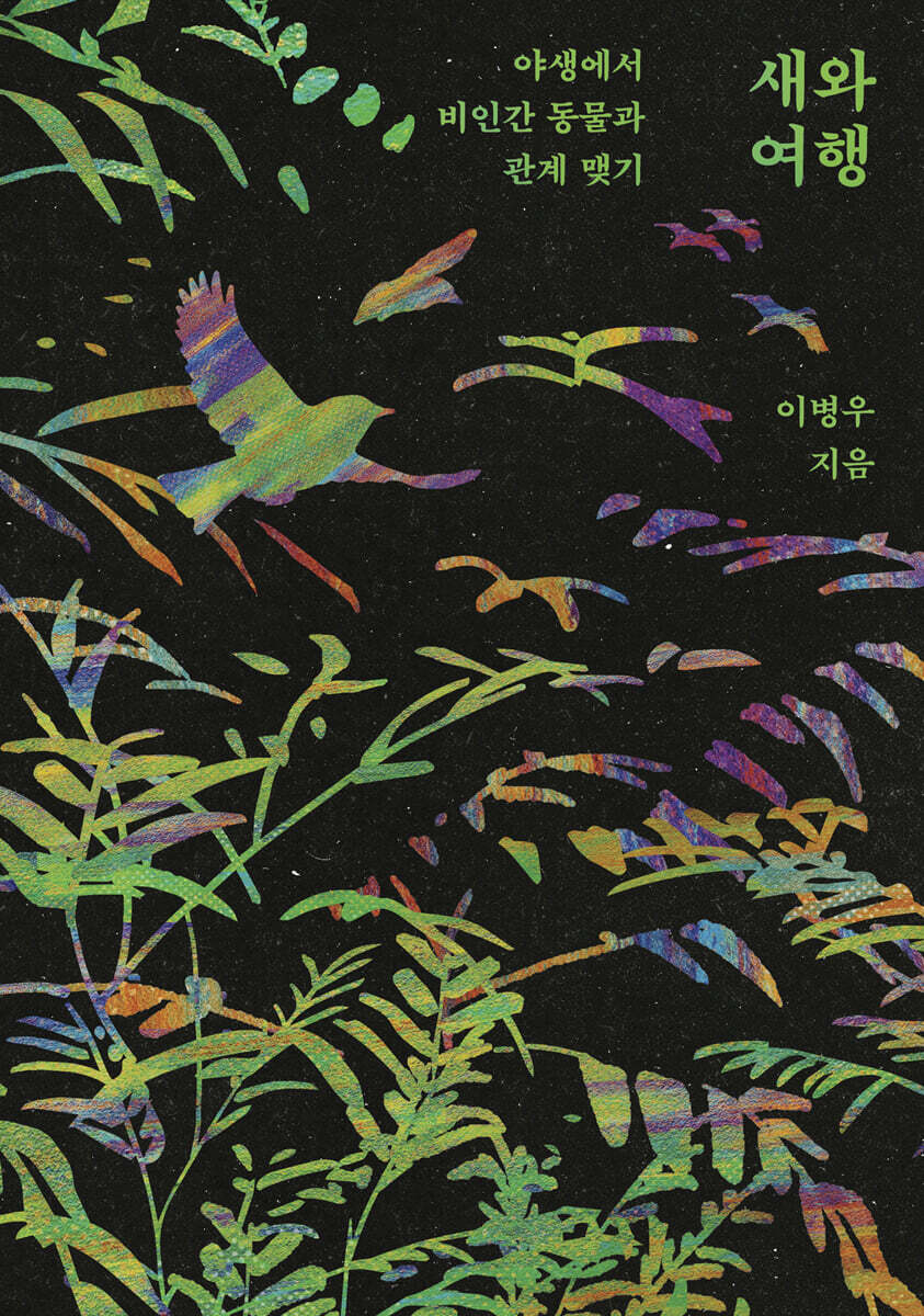 새와 여행