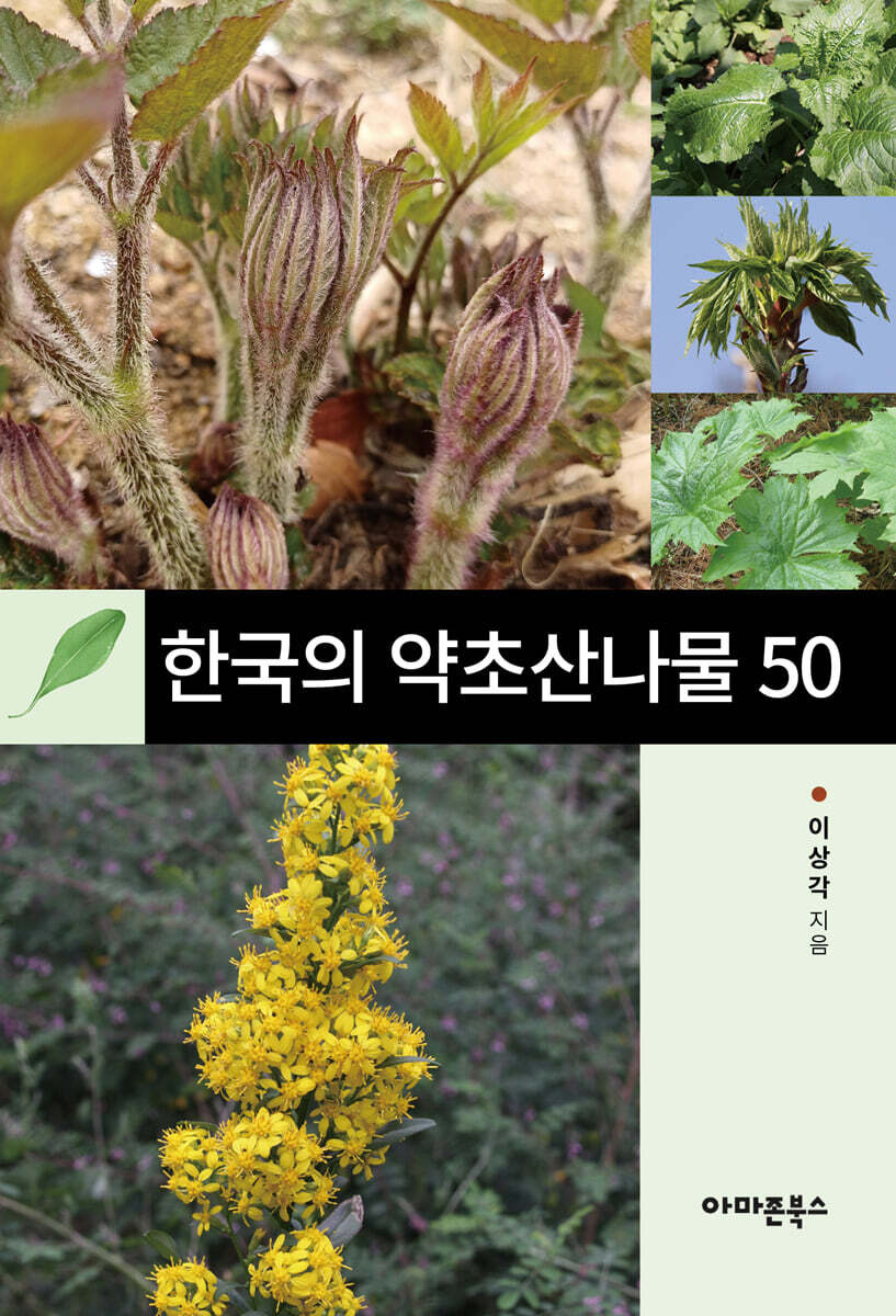 약이 되는 한국의 산나물 50
