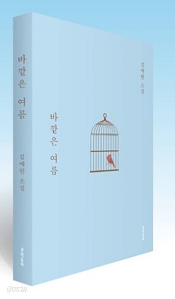 바깥은 여름 (여름 한정판 리커버) - 파스텔블루