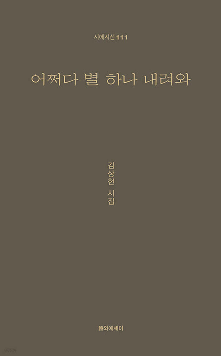어쩌다 별 하나 내려와