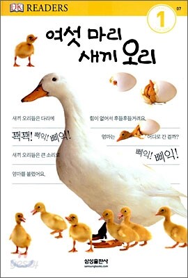 여섯 마리 새끼 오리
