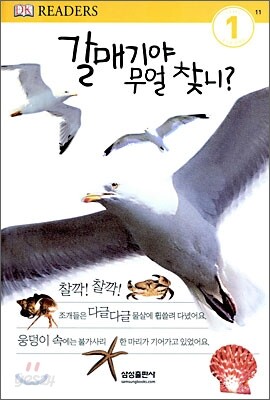 갈매기야 무얼 찾니?