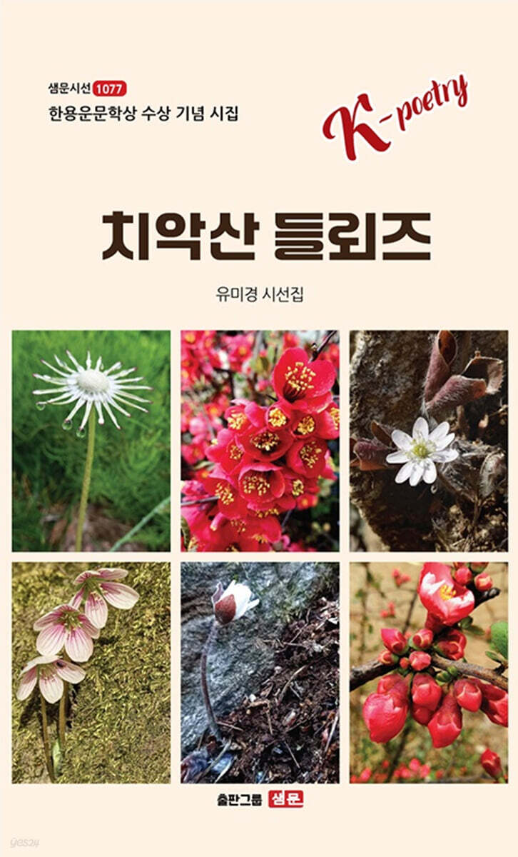 치악산 들뢰즈