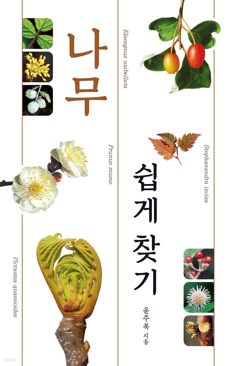 나무 쉽게 찾기