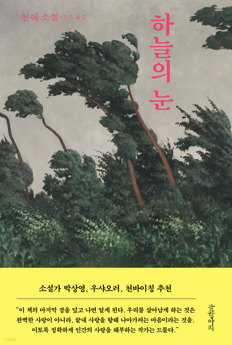 하늘의 눈