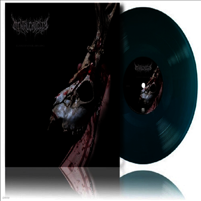 Mental Cruelty — Echoes Of A Forlorn Land 앨범 커버