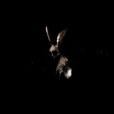 Ghostkid - Follow The White Rabbit (Digipack)(CD)