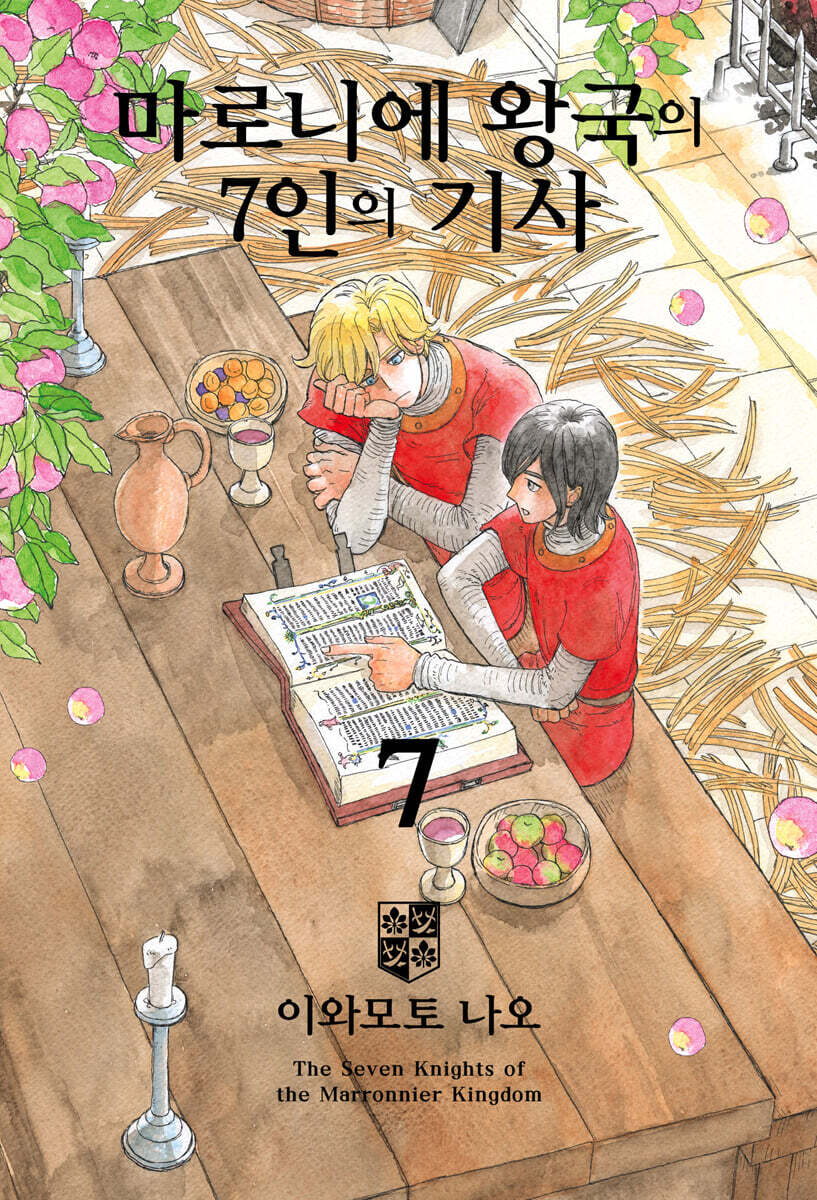 마로니에 왕국의 7인의 기사 7