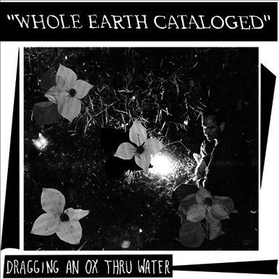 Dragging An Ox Through Water - Whole Earth Catalogued