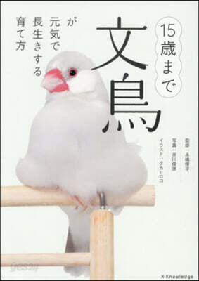 15歲まで文鳥が元氣で長生きする育て方