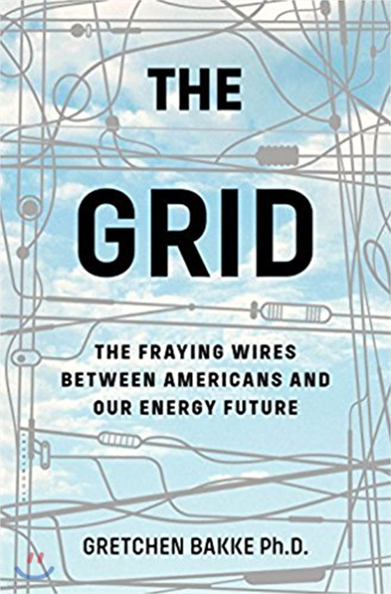 The Grid: The Fraying Wires Between Americans and Our Energy Future