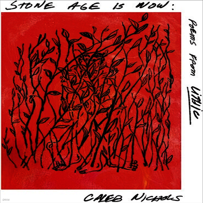 Caleb Nichols — Stone Age Is Now: Poems From Lithic 앨범 커버