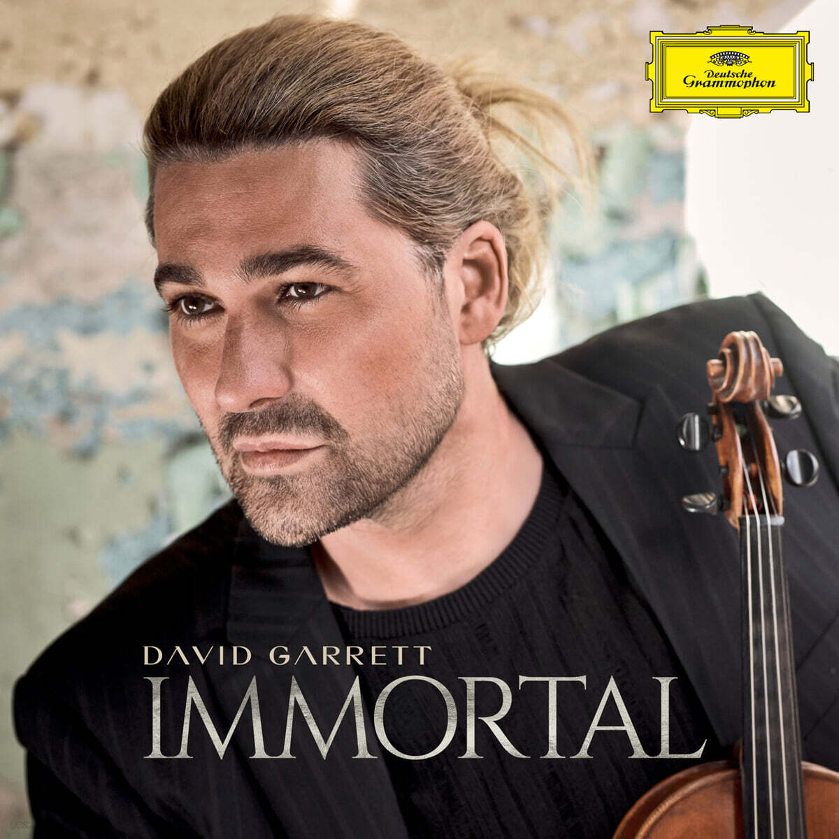 David Garrett (데이빗 가렛) - Immortal