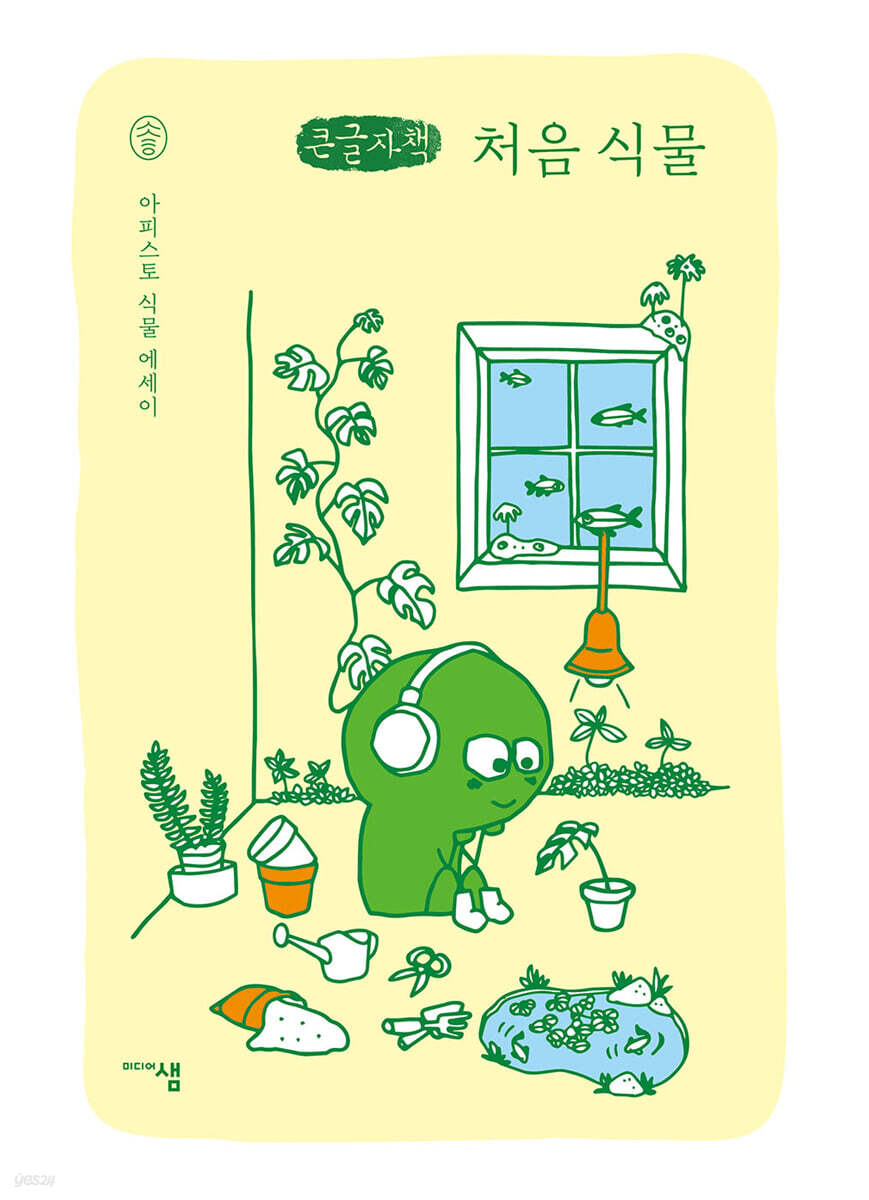 처음 식물 (큰글자책)
