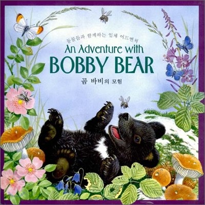 An Adventure with BOBBY BEAR  ٺ 