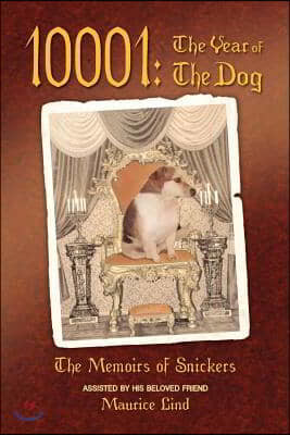 10001: The Year of The Dog