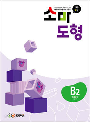 소마 도형 B2