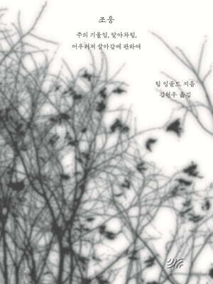 조응