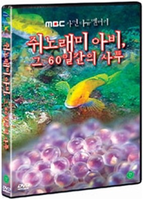 뷡 ƺ,  60ϰ  : MBC ڿ ťŸ