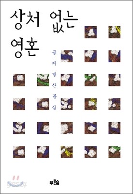 상처 없는 영혼