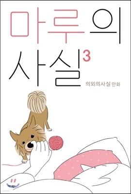 마루의 사실 3