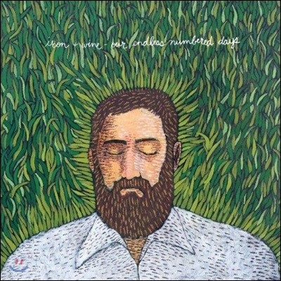 Iron And Wine — Iron & Wine (아이언 앤 와인) - Our Endless Numbered Days 앨범 커버