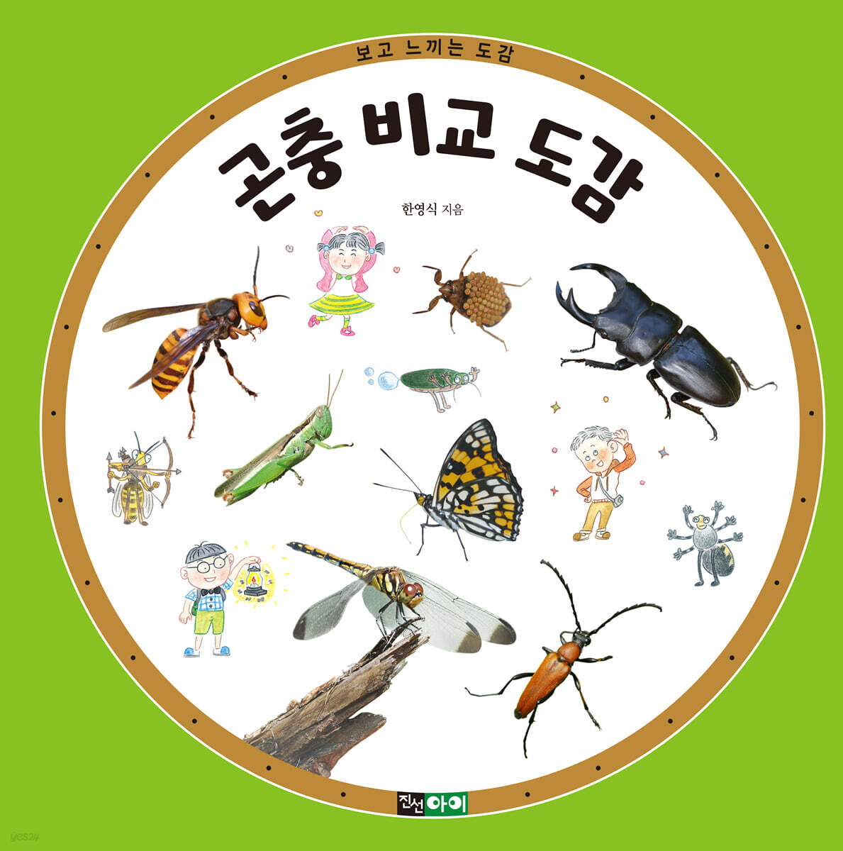 곤충 비교 도감