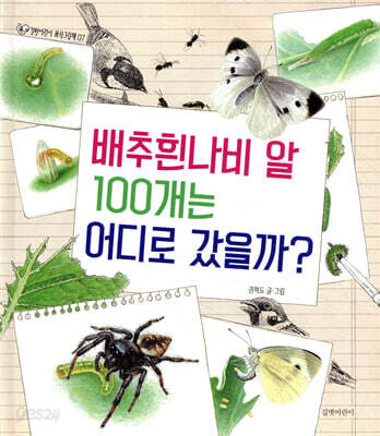 배추흰나비 알 100개는 어디로 갔을까?