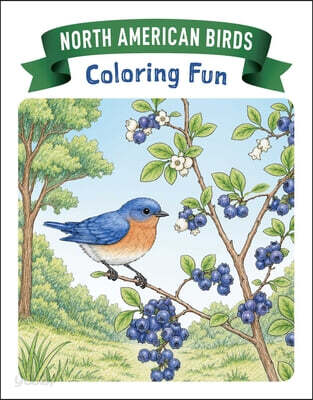 North American Birds: Coloring Fun