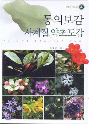 [중고-상] 동의보감 사계절 약초도감