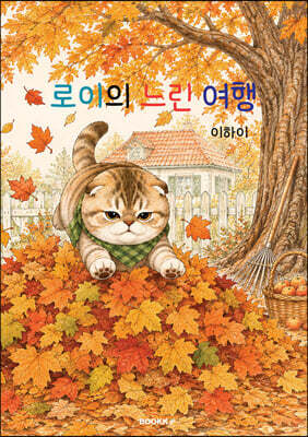 로이의 느린 여행