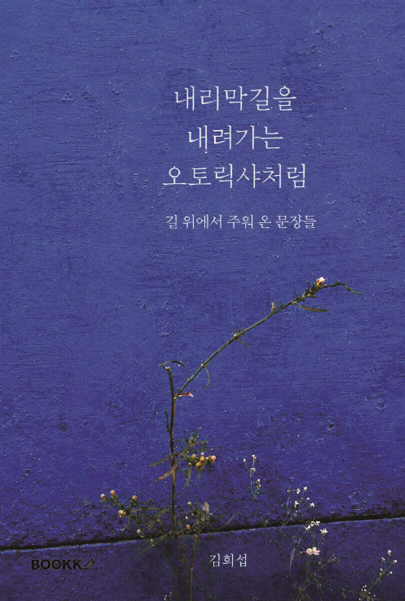 내리막길을 내려가는 오토릭샤처럼