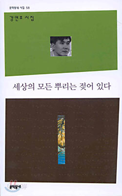 세상의 모든 뿌리는 젖어 있다