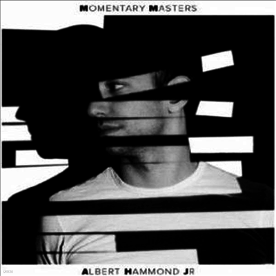Albert Hammond Jr — Momentary Masters 앨범 커버