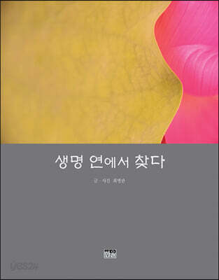 생명 연에서 찾다