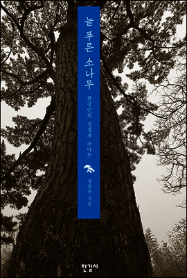 늘 푸른 소나무 : 한국인의 심성과 소나무