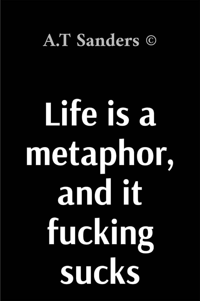 Life is a metaphor, and it fucking sucks
