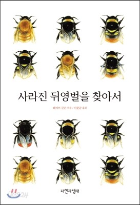 사라진 뒤영벌을 찾아서