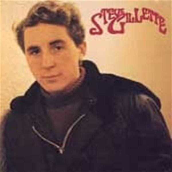 Steve Gillette / Steve Gillette (수입)