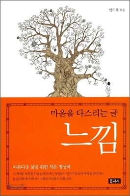 느낌