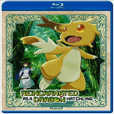 Reincarnated As A Dragon Hatchling: Complete Collection (전생했더니 드래곤의 알이었다) (2026)(한글무자막)(Blu-ray)