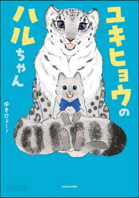 ユキヒョウのハルちゃん